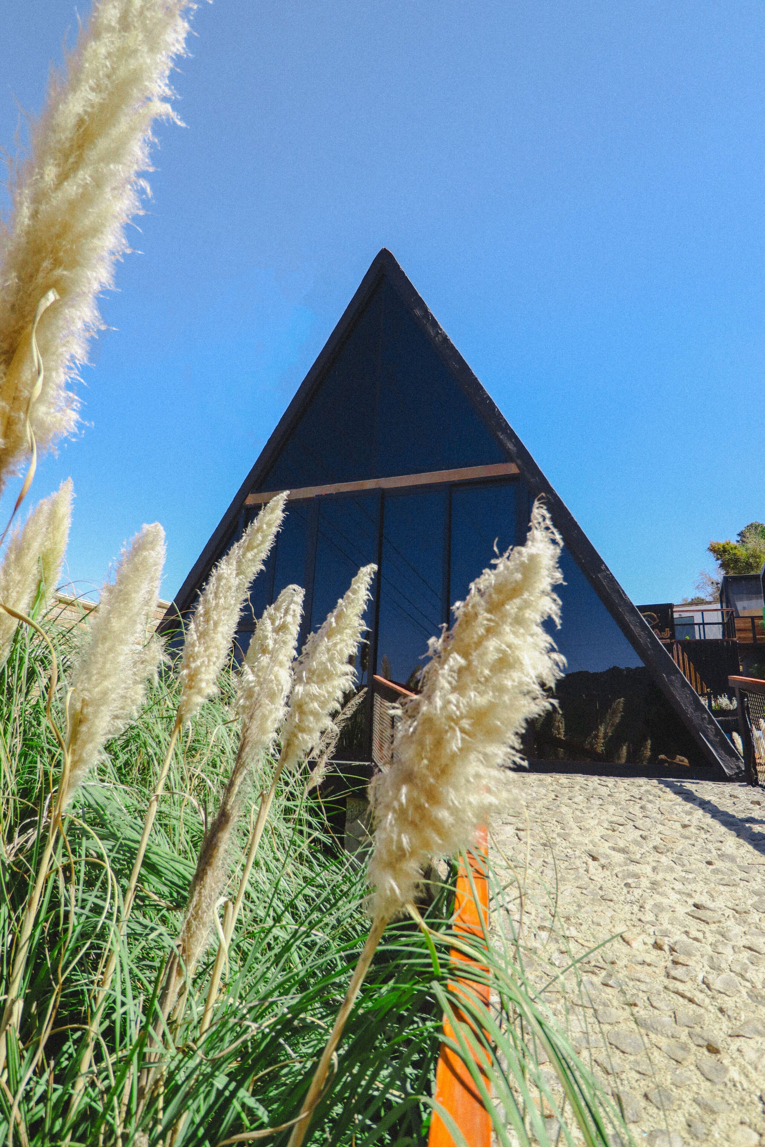 開放式客房 | 露台/庭院