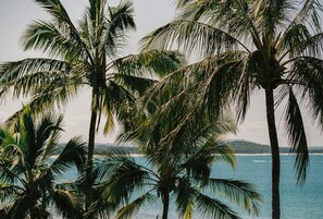 A view of palm trees and a body of water. - 71 Hastings Street - Beachfront (Noosa Heads)