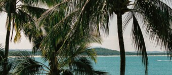 71 Hastings Street - Beachfront