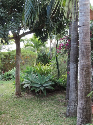 Agreable maison a 5 min de Saint pierre