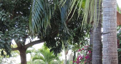 Agreable maison a 5 min de Saint pierre