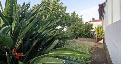 Holiday Home 'Bettencourt House' with Private Terrace, Private Garden and Wi-Fi