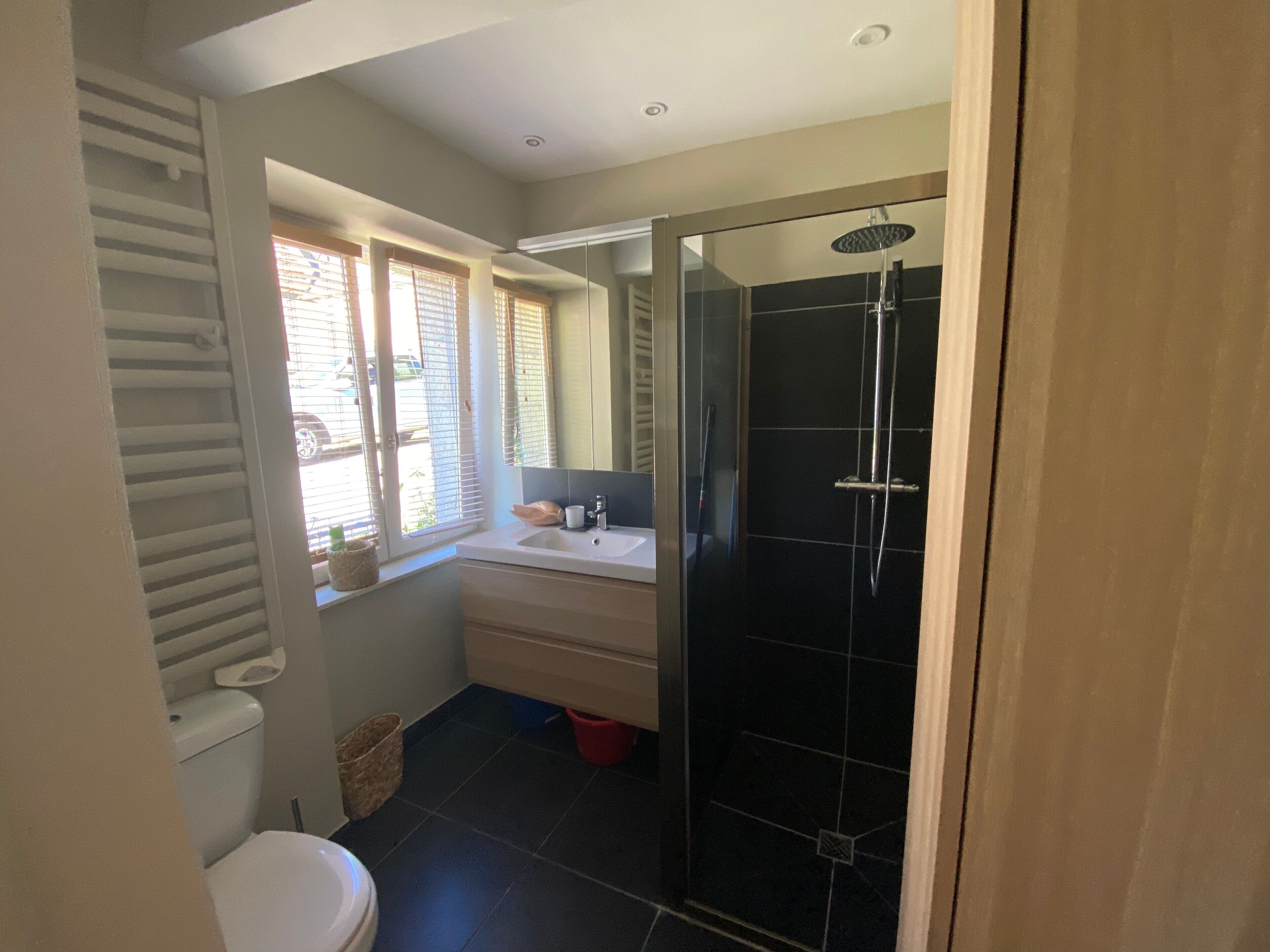 Un baño con inodoro, lavabo y ducha.