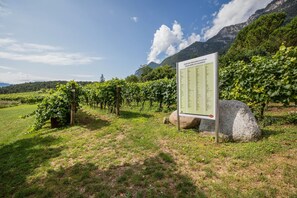 Parco della struttura