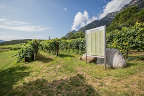 Parco della struttura