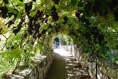 Apartment 'Laurin' with Vineyard & Mountain Views