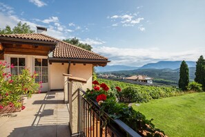 A wooden house with a tiled roof, a balcony with red flowers, and a view of a vineyard and mountains.