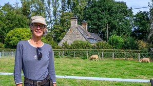 Eine Person steht vor einem Steinhaus mit einem umzäunten Hof und weidenden Schafen.