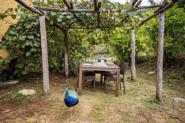 屋外ダイニングエリア