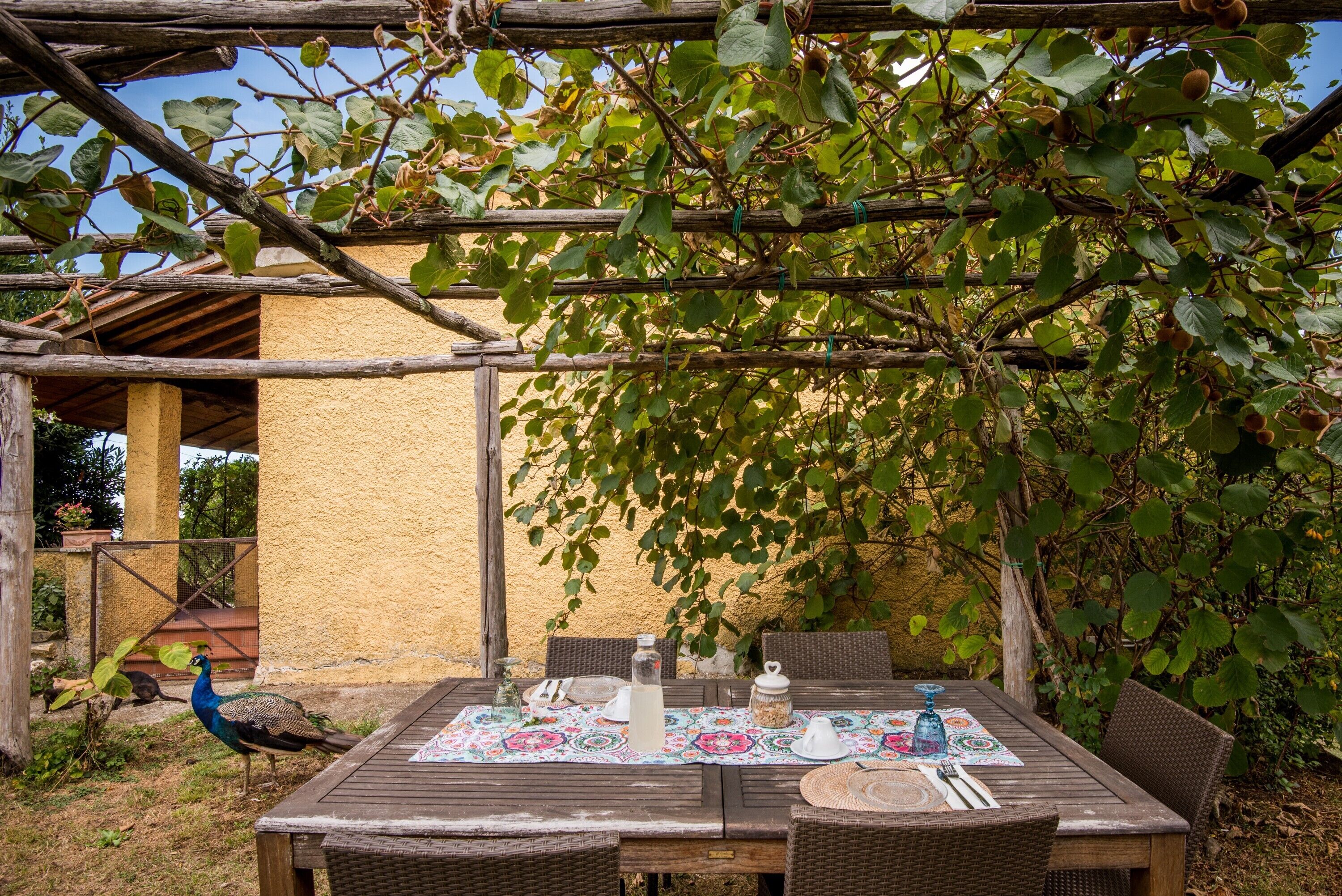 An outdoor dining area with a table set for two, surrounded by wicker chairs, under a wooden pergola.