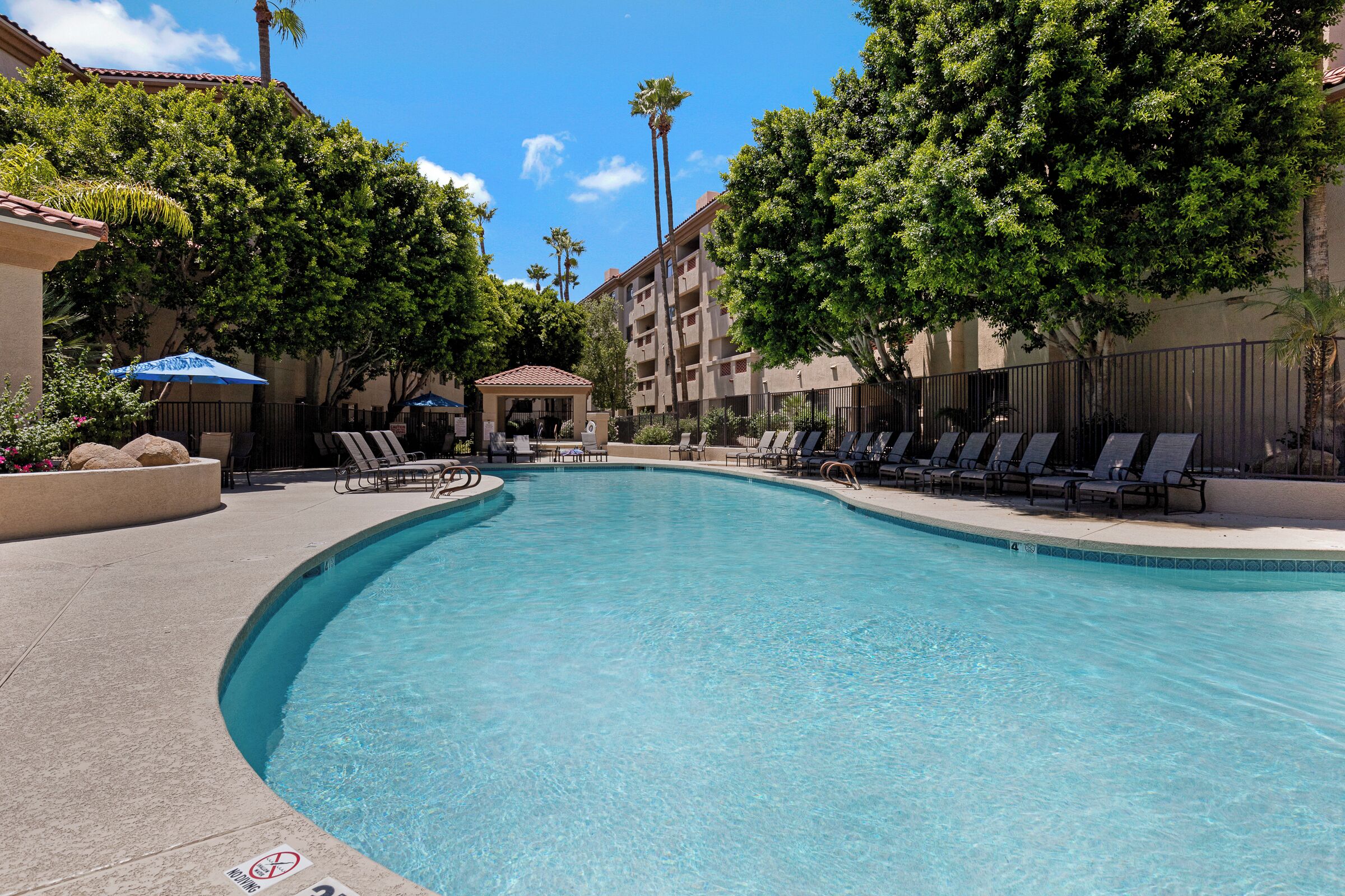 Sunshine Splash at the Biltmore