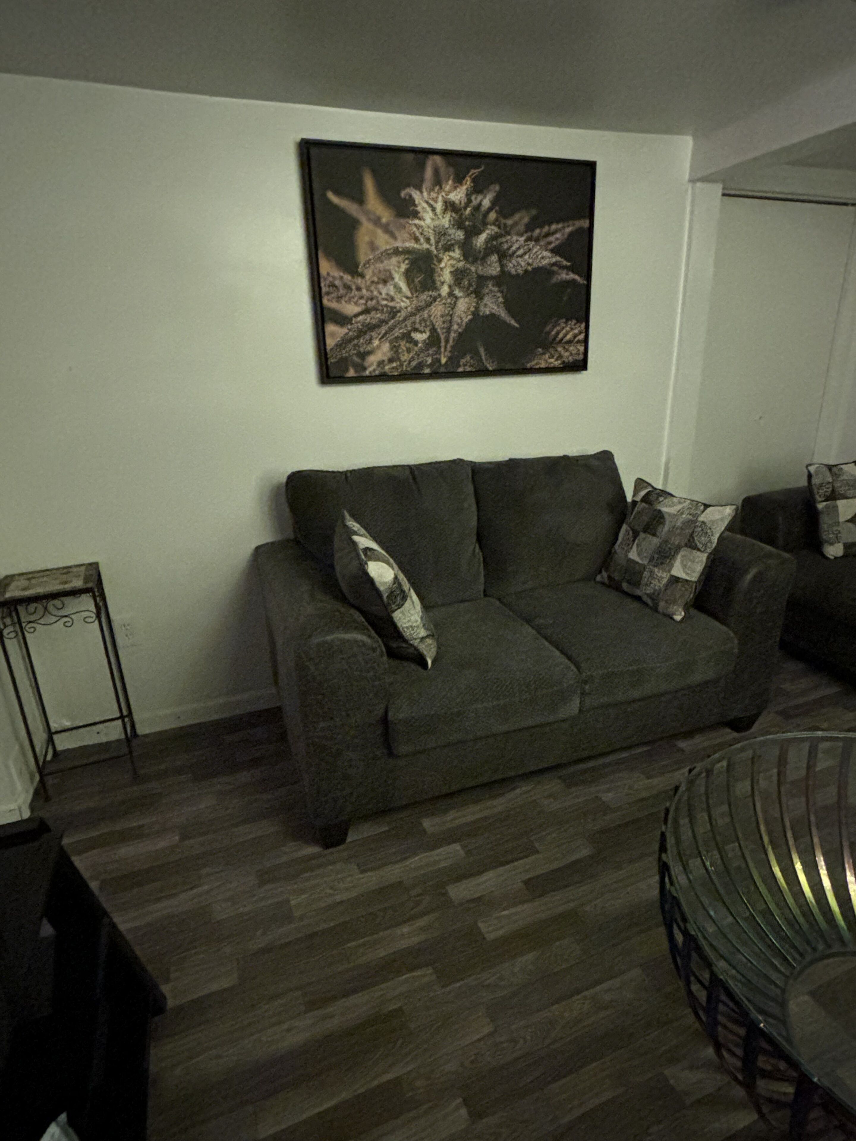 Ein Wohnzimmer mit grauem Sofa, einem Couchtisch und einem gerahmten Bild an der Wand.
