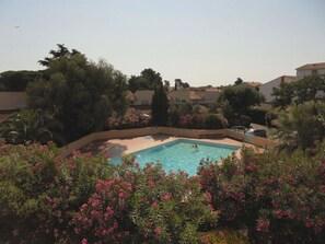 Pool - 2-room apartment in Argelès-sur-Mer (Argelès-sur-Mer)