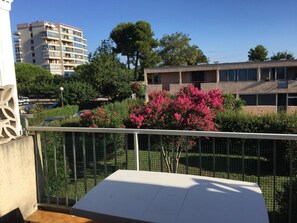 Property grounds - Studio with terrace for 4 people in Argelès-sur-Mer (Argelès-sur-Mer)