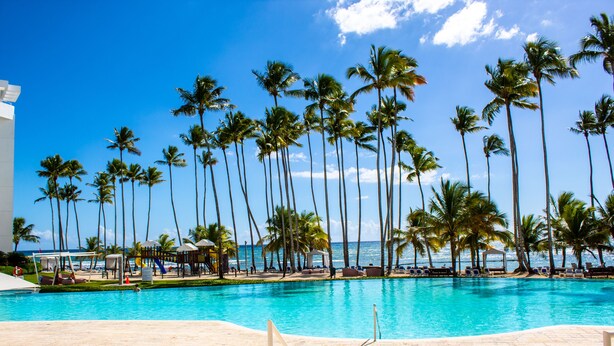 A poolside area with lounge chairs and palm trees.
