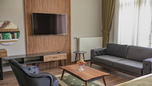 A modern living room with a sofa, a chair, a coffee table, a TV mounted on a wooden panel wall, a small side table, and a mirror. - The Green Oasis Thermal & Spa Hotel (Yalova)