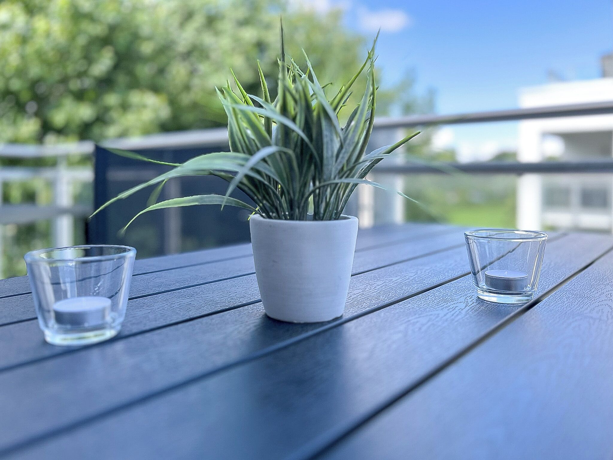 Une plante en pot est posée sur une table en bois, à côté de deux verres transparents.
