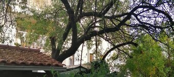 Charming Apartment Center Split Terrace & Parking