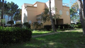 Immagine non classificata, 4 di 13, pulsante