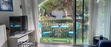 TV