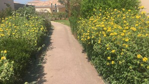 Un sendero pavimentado bordeado por abundante follaje verde y flores amarillas, que conduce a un edificio con tejado de tejas.