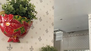 Two wall-mounted planters with floral designs, a tiled floor, and a room with tables and chairs. - Viale Lazzaro Papi (Rimini)