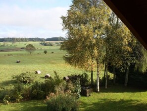 Property grounds - Cozy chalet with private pool in Val-d'Ajol, 3 bedrooms (Le Val-d'Ajol)