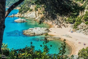 Une plage côtière aux eaux turquoise et limpides, bordée de rochers et d’une étendue de sable.