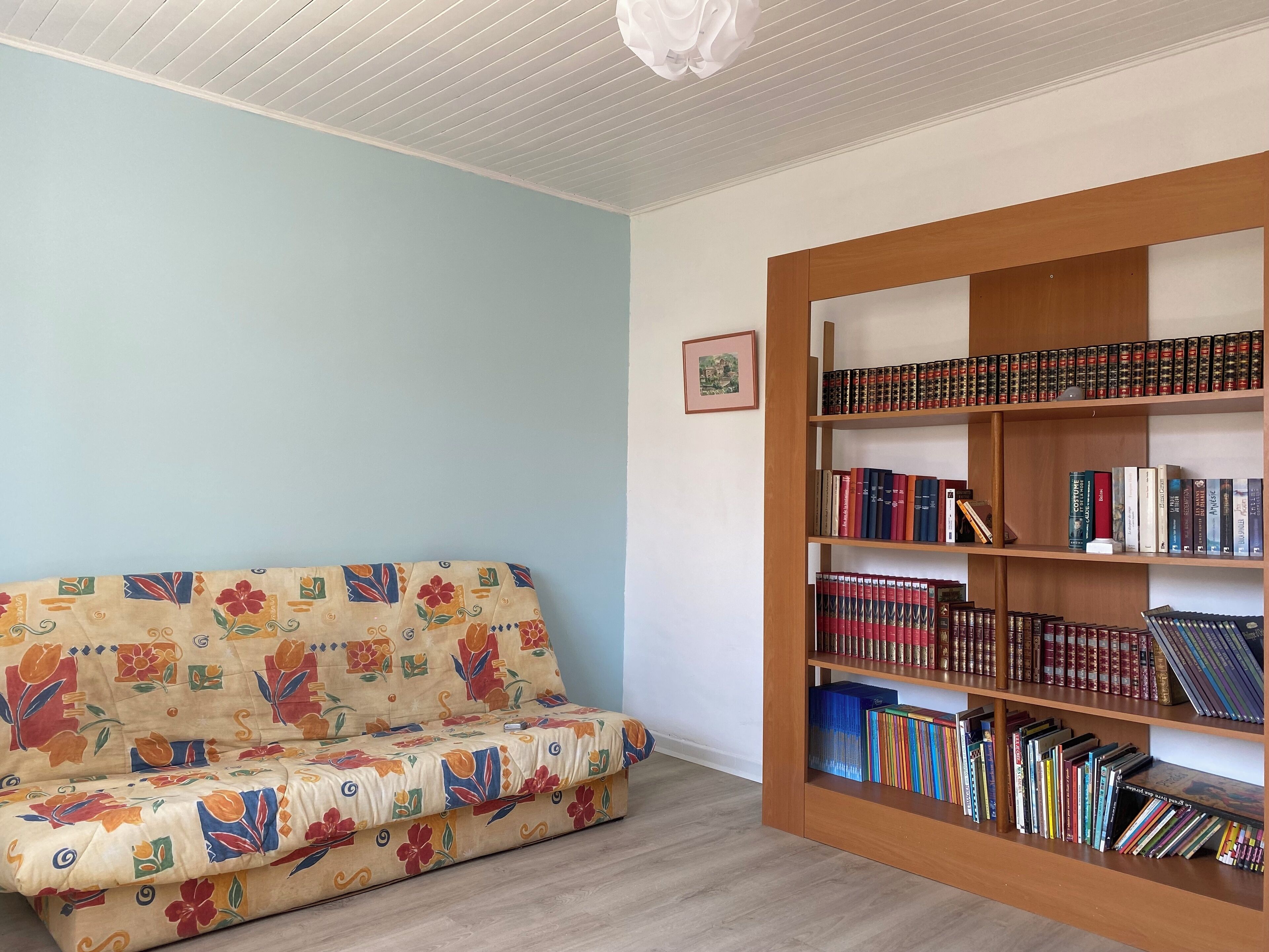 A room with a sofa, a bookshelf, and a framed picture on the wall.