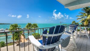 Unclassified image, 3 of 40, button