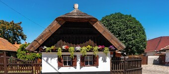 Holiday home with garden, pool and terrace