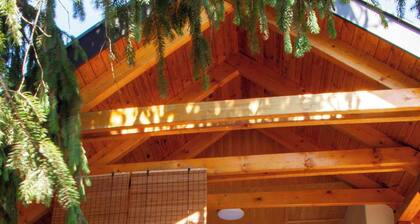 Holiday home with garden, pool and terrace