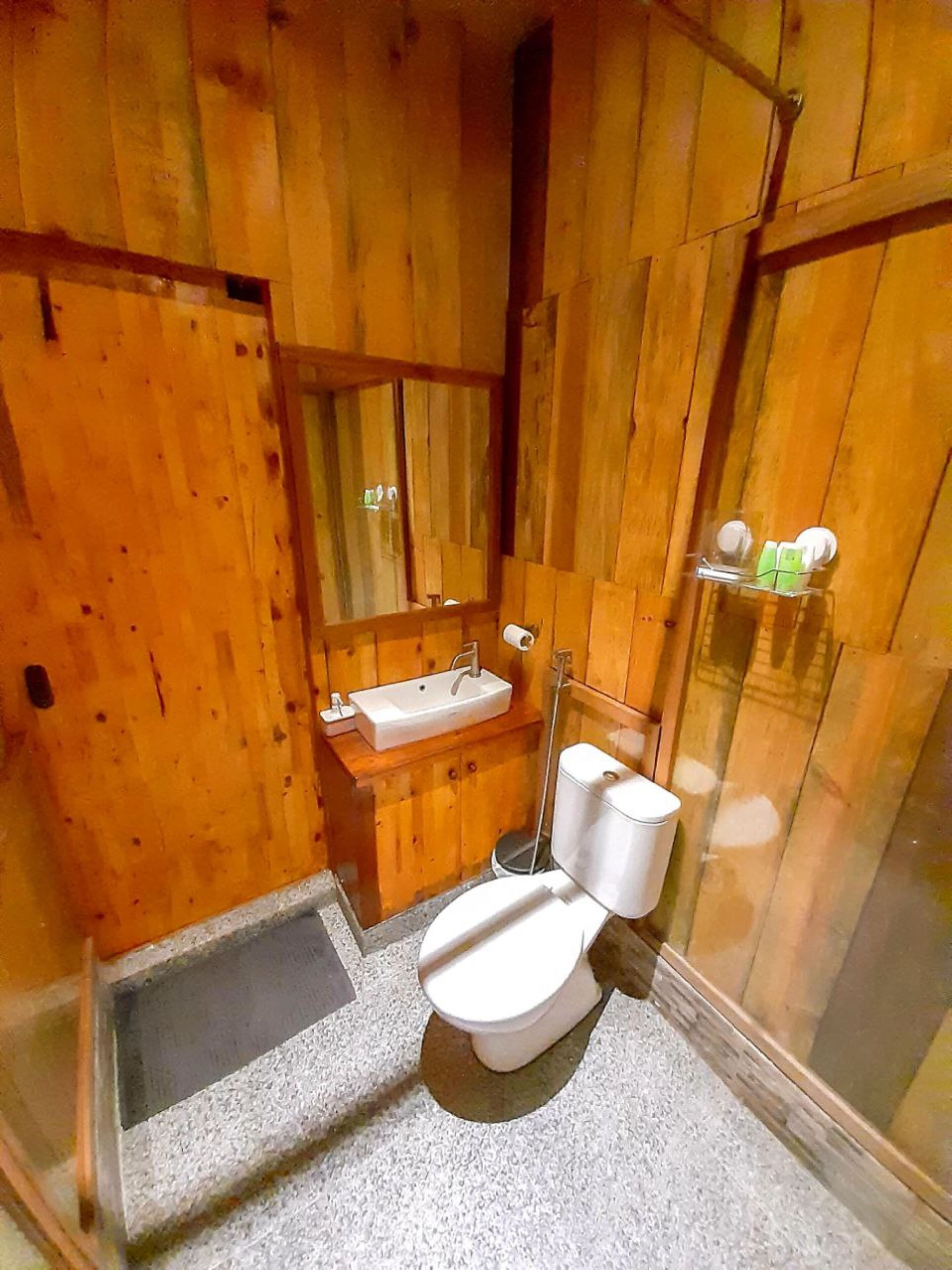 deluxe room, 2 single beds | bathroom | shower, slippers, towels, soap