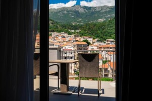 Vista desde la propiedad