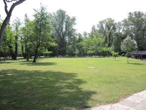 Um parque com árvores, grama e um caminho pavimentado.