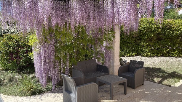 Een terras met rieten meubilair onder een pergola bedekt met paarse glicine.