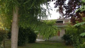 Un jardin avec un grand arbre, un petit bâtiment et diverses plantes.
