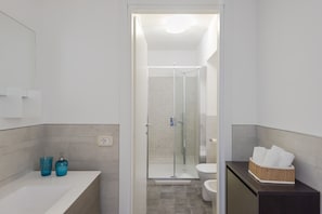 Shower, hair dryer, bidet, towels
