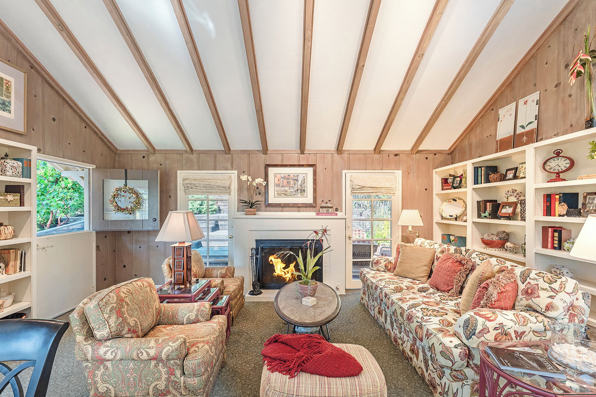 TV, fireplace, books