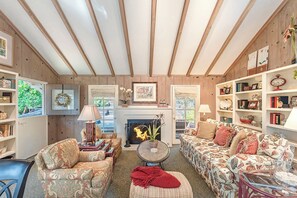 TV, fireplace, books