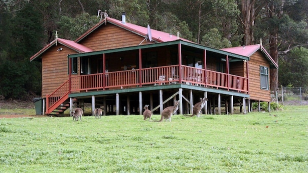 A wooden house with a porch and a fenced yard. - Cabins nestled in 170 acres of old growth forest near the Valley of the Giants. (North Walpole)