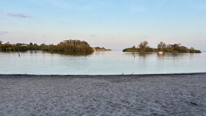 Une plage avec un rivage sablonneux et une eau calme.