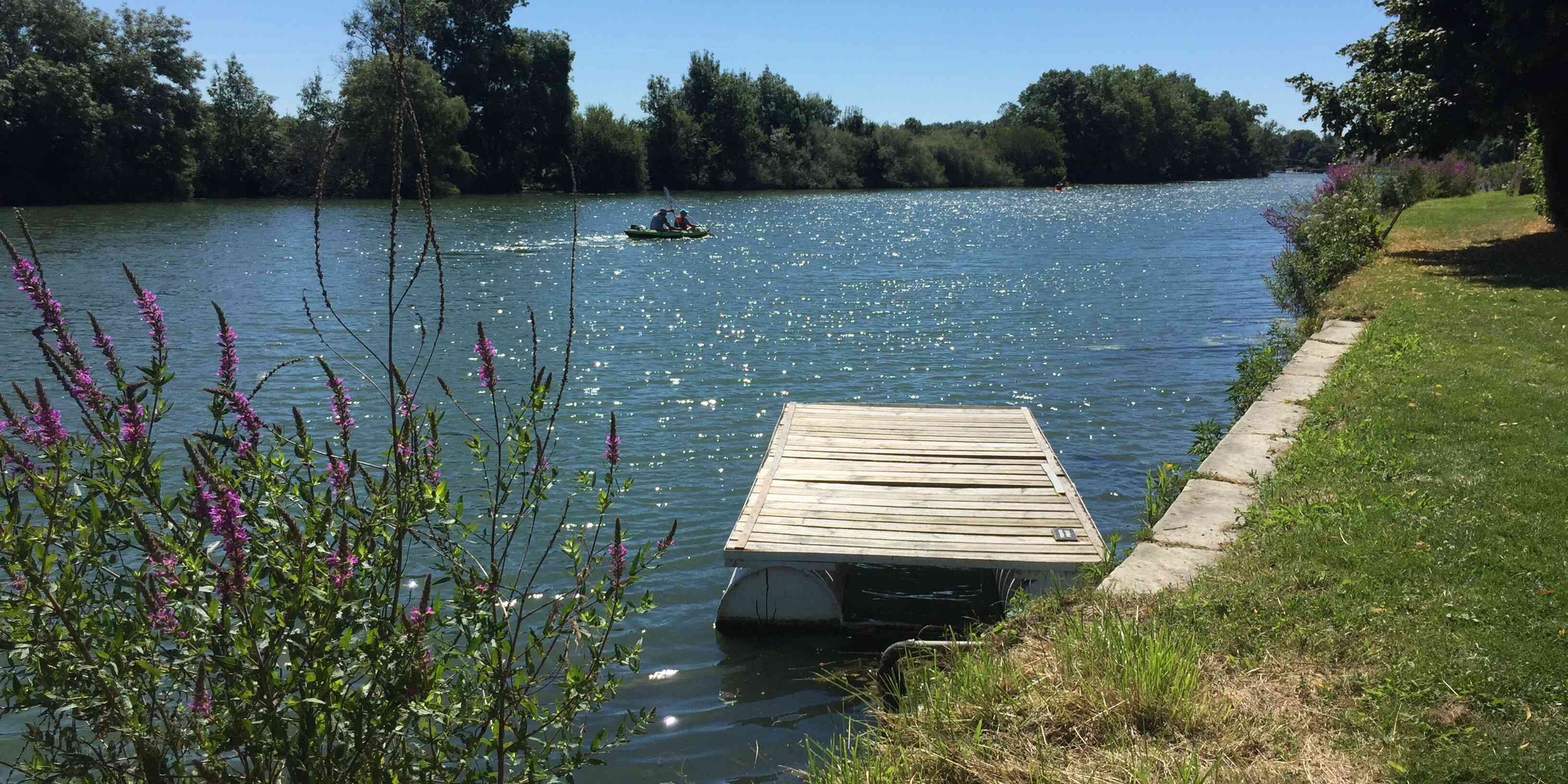 A calm lake with a wooden dock extending into the water, surrounded by lush greenery and trees.