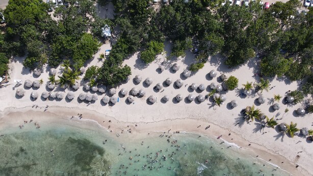 An aerial view of a beach with clear turquoise waters, rows of palm trees, and beach umbrellas. - Villa Belle Mar with a pool and within walking distance of the beach!  (Puerto Plata)