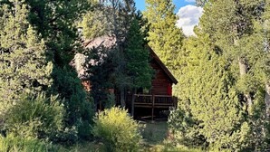 A cabin surrounded by dense forest and a flowing river. - Beautiful log home-dog friendly, creek & mountain views,close to national parks (MAMMOTH CREEK)