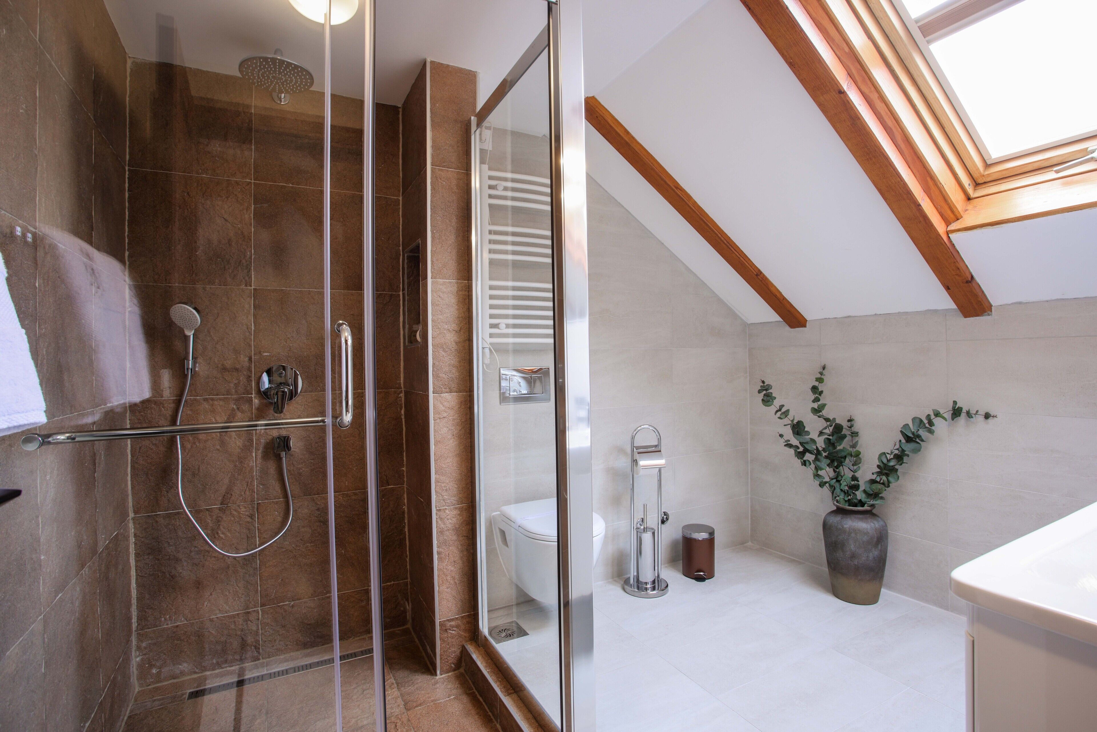 A modern bathroom with a glass shower enclosure, a toilet, a sink, and a potted plant.