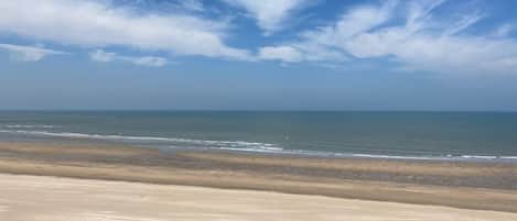 海灘