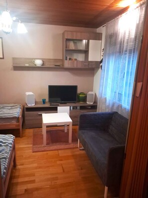 Télévision, cheminée, lecteur de DVD, chaîne hi-fi