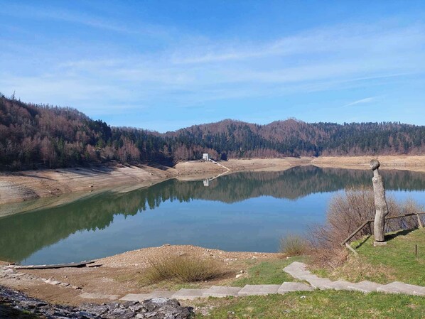 A serene lake with a wooden sculpture on the right, surrounded by forested hills. - Holiday home with terrace and large garden (Delnice)