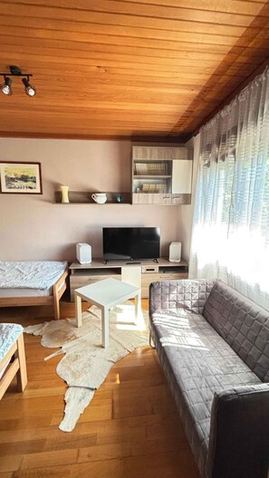 Una sala de estar con techo de madera, un televisor, un sofá, una mesa de centro y una cama.